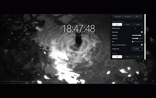 Overlook Live Wallpapers :: A customizable new tab with free live scenes, Pro local-media imports, default-provider search, and shortcuts.