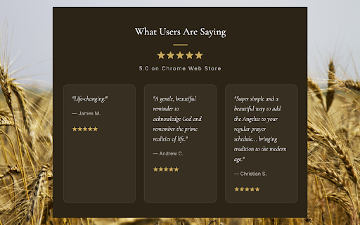 Angelus Bell :: A sacred interruption, three times a day. Authentic church bells and the Angelus prayer, switching to Regina Caeli at Easter.