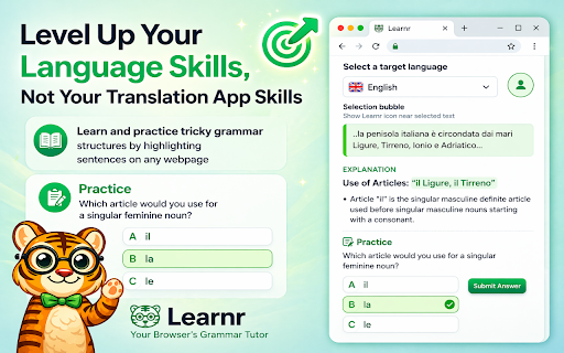 Learnr AI: Language Learning & Grammar Rules Practice on Any Website Today :: Turn any website into a language lesson in one click. Explains grammar rules for your selected text in any language with AI.