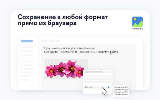 ПростоJPG :: Конвертирует изображения и собирает фото/видео из галерей товаров Ozon и Wildberries в архив.