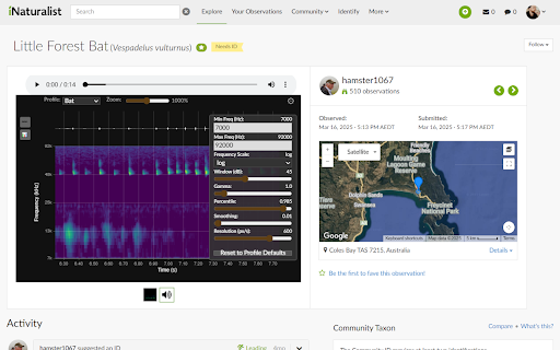 iNatSpectro :: The missing Spectrogram for iNaturalist - Displays a spectrogram for audio on iNaturalist observation pages using the Web Audio API.