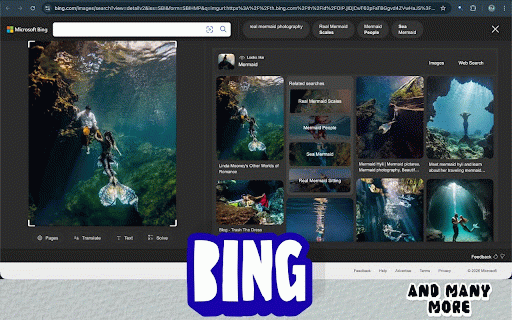 Select & Search - Capture Screen and Search Instantly :: Select any area on screen and instantly search it across 40+ engines.
