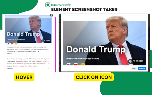 Element Screenshot Taker :: Hover over an element and click the icon to capture just that element.