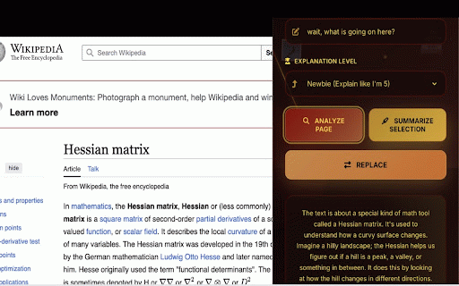Summar-AI :: Uses AI to summarize long sets of text on a page with different explanation levels.