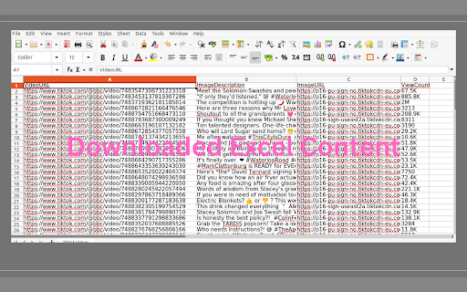 TikTok Video Exporter :: Export TikTok videos, descriptions and image URLs to Excel