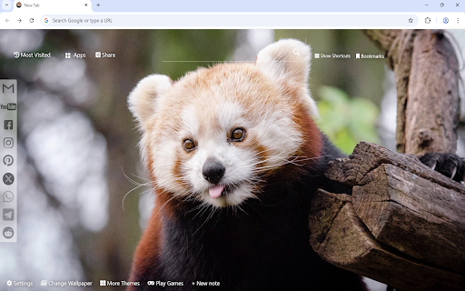 Red Panda Wallpaper :: Red Panda wallpaper turn new tab to custom HD Red Panda background. Red Panda wallpaper background themes for animal fans.