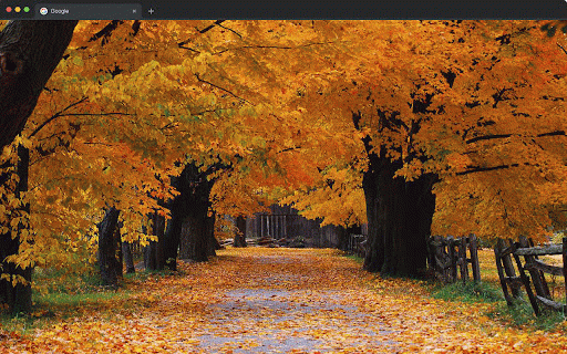 Autumn Wallpapers New Tab - Fall Season Backgrounds :: Autumn wallpapers for new tab. Fall foliage, cozy season & nature backgrounds