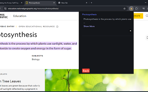 LinkNote :: Save titled notes for different URLs and easily revisit them directly from the extension's organized saved notes section.