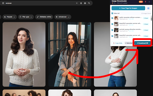 Bulk Image Downloader: Bulk Download All Image from Website Pages :: Bulk download all image files from multiple web pages. Scan websites to automatically extract and download all available images.