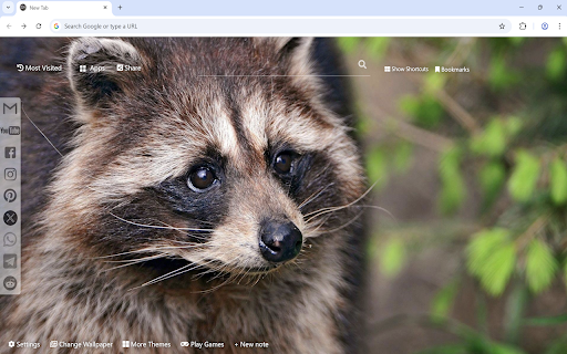 Raccoon Wallpaper :: Raccoon Wallpaper turn new tab to custom HD Raccoon background. Cute Raccoon wallpaper background theme for animal fans.