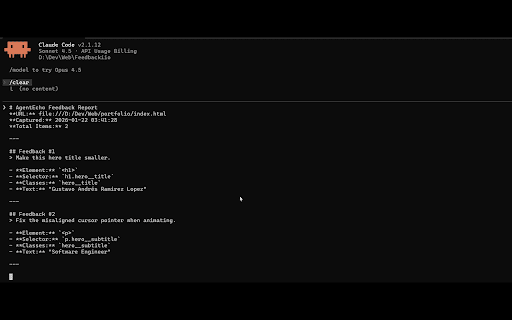 AgentEcho :: Visual feedback annotation tool for developers