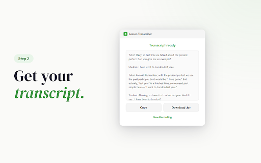 Lesson Transcriber :: Record and transcribe online lessons. Captures both sides of any browser-based call and transcribes with AI.