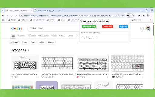 TextSaver :: Guarda todo el texto que escribes en cualquier página web