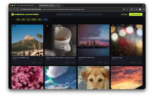 Glean - Image & Video Downloader :: Scan, preview, and download images and videos from the current page.