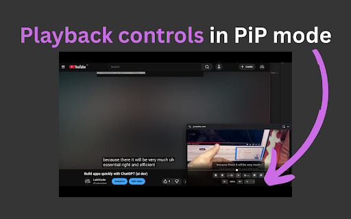 PiP mode with Subtitles & Controls :: Picture-in-Picture mode with subtitle overlay support for major streaming platforms. Includes video controls and resizable subtitles