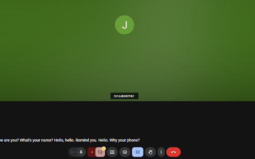 Google meet caption translator :: google-meet-caption-translator
