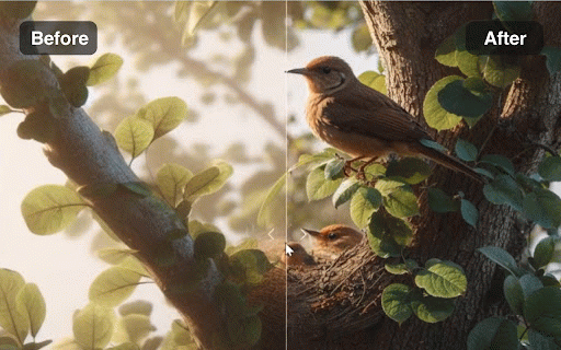 AI Image Upscaler - Enhance images to 4K Quality Instantly :: Upscale low-resolution images to 4K with AI. One-click enhancement for sharper details, reduced noise, and crystal-clear results.