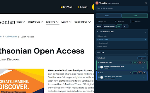 Tabatha - Tab Triage Center :: Fast, private, local tab triage for busy browsers.