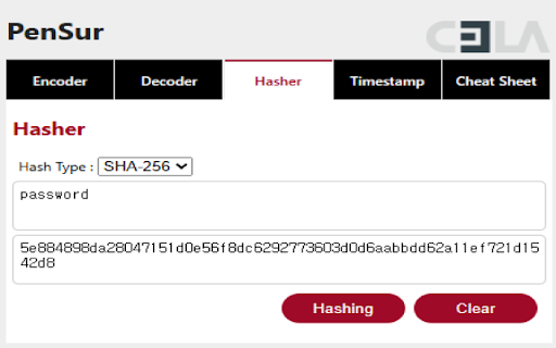 PenSur :: Encoding or Decoding & hashing & Timestamp &Attack payload
