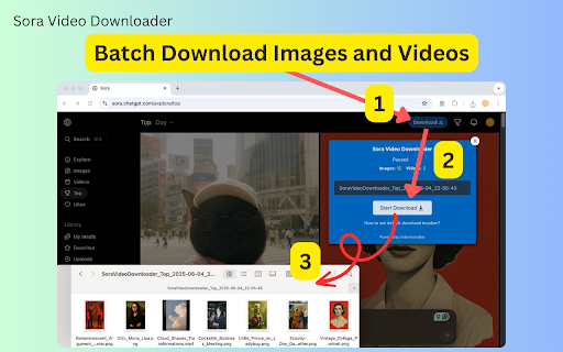 Sora Video Downloader - Save OpenAI Sora 2 videos and images easily :: Quickly save OpenAI Sora 2 videos and images while keeping their original quality.