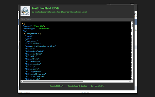 NetSuite Field JSON :: Examine NetSuite records as JSON using SuiteScript 2.1 when available, with page XML fallback.