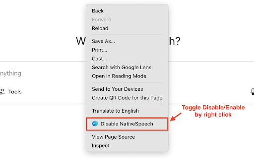Native Speech: Pronunciation, Translation & Text to Speech :: Real-time AI speech assessment for speaking, listening, and translation. Practice selected text on any site.