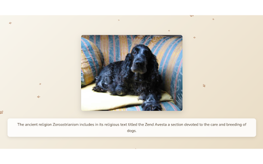 New Dog Tab :: Displays a random dog image and fact on each new tab!