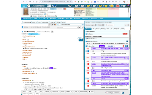 PurpleTools RAF :: Indentify, Highlight and Sort RAF-relevant ICD-10 Diagnoses in eClinalWorks.