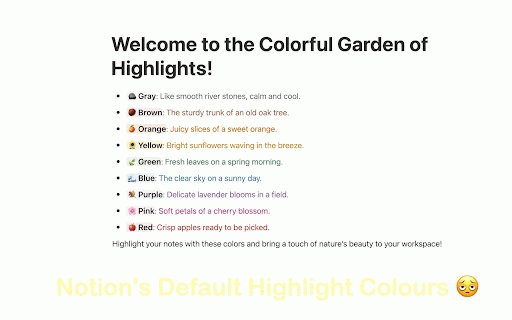 Rainbow Bear :: Make Notion highlights vivid, readable, and color‑blind friendly. Custom colors, optional animations, and gentle patterns.