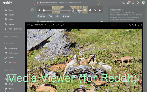 Reddit Media Viewer - Gallery Rexplorer :: Overlay a fast, responsive media gallery on the current Reddit subreddit or user feed. Local-only, no login, no tracking.