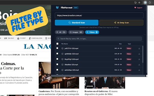 FileHarvest - Descargador Masivo de Archivos :: Descarga archivos en masa desde cualquier página. Escaneo con IA, filtros avanzados. Gratis, sin publicidad ni rastreo.