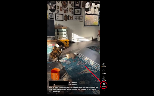 Facebook Who Shared? :: Adds an inline sharers button to Facebook posts and returns the ability to show the posts shared by people who reshared them.