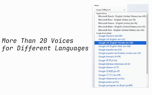 Read Aloud V2 :: Read Aloud: The fastest way to convert selected text from any website into spoken words, No limitations!