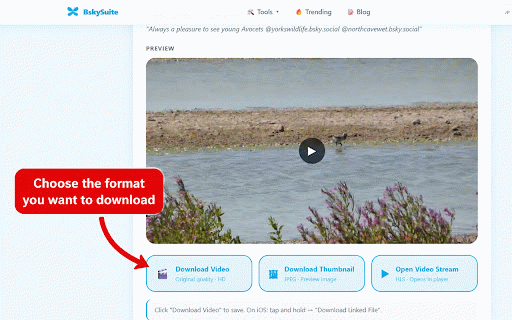 Bluesky Media Downloader :: Download Bluesky videos, GIFs, and images in one click, straight from your feed. Free, no watermark, no sign-up.