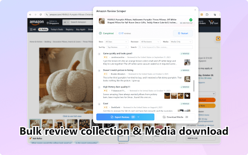 Amazon Review Exporter & Scraper :: Collect & export Amazon product reviews in bulk. Scrape reviews with media, ratings & metadata to CSV/Excel/JSON for market research