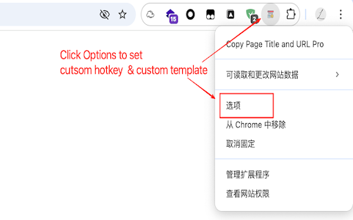 Copy Page Title and URL Pro :: Enhanced Chrome extension for copying page title, URL, and selected text with customizable templates and smart fallback.