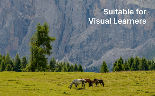 Picture Dictionary :: See the words you look up.