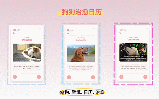 Dog-Themed Calendar: Daily Paws & Quotes :: Brighten your day with adorable dog images, uplifting and healing quotes, and a delightful, positive calendar experience.