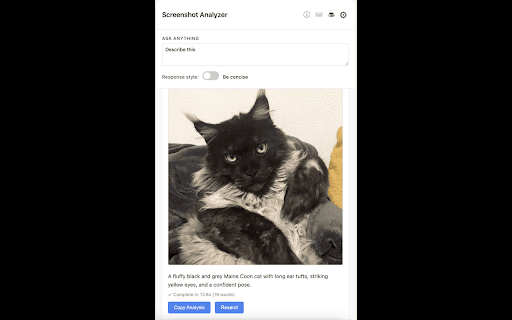 Screenshot Analyzer :: Capture and analyze screenshots the smart way.