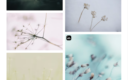 Image Viewer – Fullscreen Preview, Zoom, Download & AI Detection :: Image viewer to preview any image in fullscreen with zoom, download, EXIF metadata and AI-generated image detection.