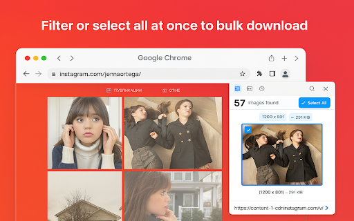 Fatkun Batch Download Image :: A simple and easy-to-use tool for batch downloading images from web pages.