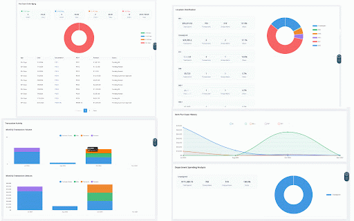 NetSuite Advanced Analytics :: Provides a suite of analytics for NetSuite