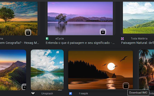 WebMediaDownload :: Uma extensão que permite Download de Elementos de Mídia, Adiciona botões de download para elementos de mídia na página.