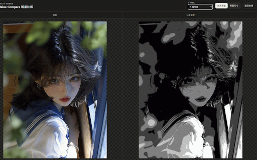 Value Viewer - Grayscale Image Inspector :: Inspect image values with grayscale, squint blur, value steps, comparisons, and a temporary reference tray.