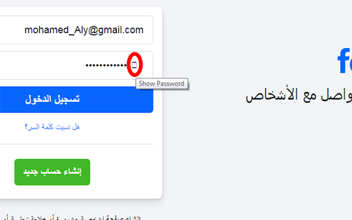 Show/Hide Password :: View hidden passwords in a secure and advanced way - عرض كلمات المرور المخفية بشكل متطور وآمن