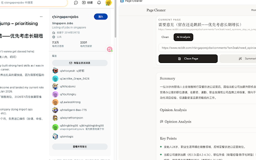 Page Cleaner :: Open the current page in a clean Chrome side panel with AI analysis.