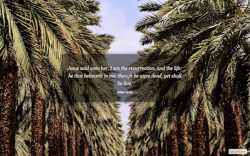 Verse & View :: Daily Bible verses paired with Holy Land scenery to help you pause, reflect, and refocus throughout your day.