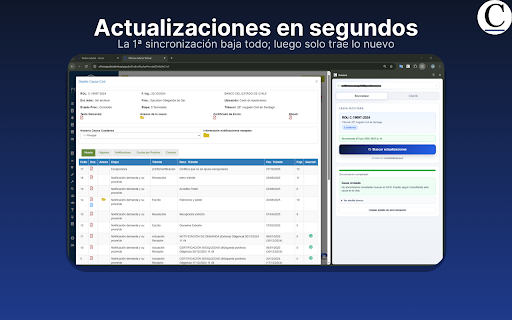 Caussa :: Sincroniza tus causas civiles desde PJUD y consulta tu expediente con IA.