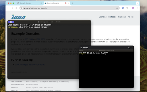 PiP Any Tab/Window :: Display any browser tab, window, or screen in a Picture-in-Picture window. Supports zoom, pan, and keeps content always on top.