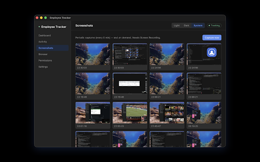 BiBo Tracker :: Reports the active browser tab (URL + time on page) to the local BiBo Tracker app.